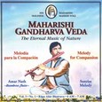Sunrise Melody (4-7 Uhr) Vol. 3/1 für Mitgefühl Audio CD
