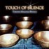 Touch of Silence Audio CD