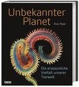 Unbekannter Planet