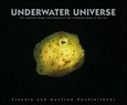 Underwater Universe