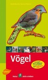 Vögel