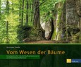 ROT // Vom Wesen der Bäume