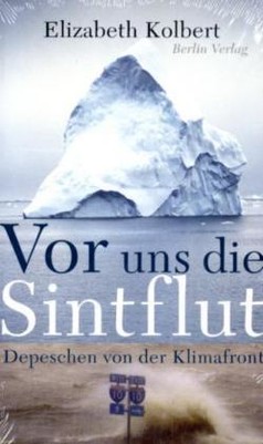 Vor uns die Sintflut