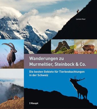 Wanderungen zu Murmeltier, Steinbock & Co.