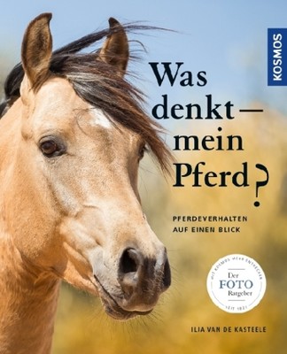 Was denkt mein Pferd?