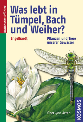 Was lebt in Tümpel, Bach und Weiher?