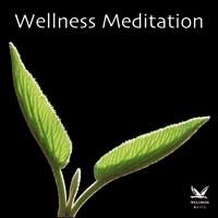 Wellness Meditation Audio CD
