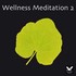 Wellness Meditation Vol. 2 Audio CD