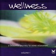 Wellness Vol. 1 Audio CD