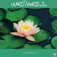 Wellness Vol. 2 Audio CD