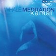 Whale Meditation Audio CD