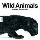 Wild Animals