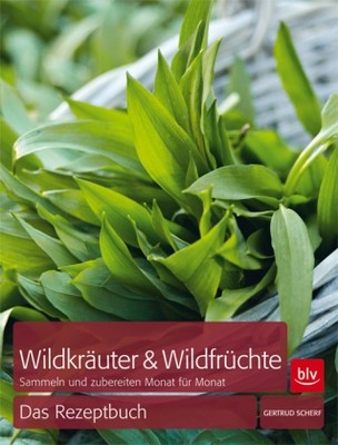 Wildkräuter & Wildfrüchte - Das Rezeptbuch